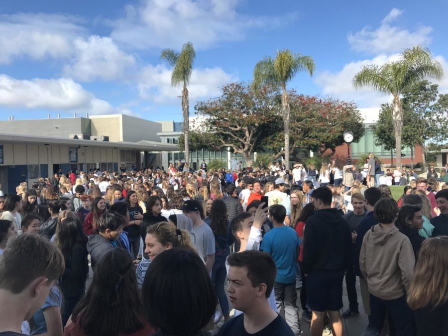 Hundreds of Sea Kings join the nation in solidarity with Parkland, FL.