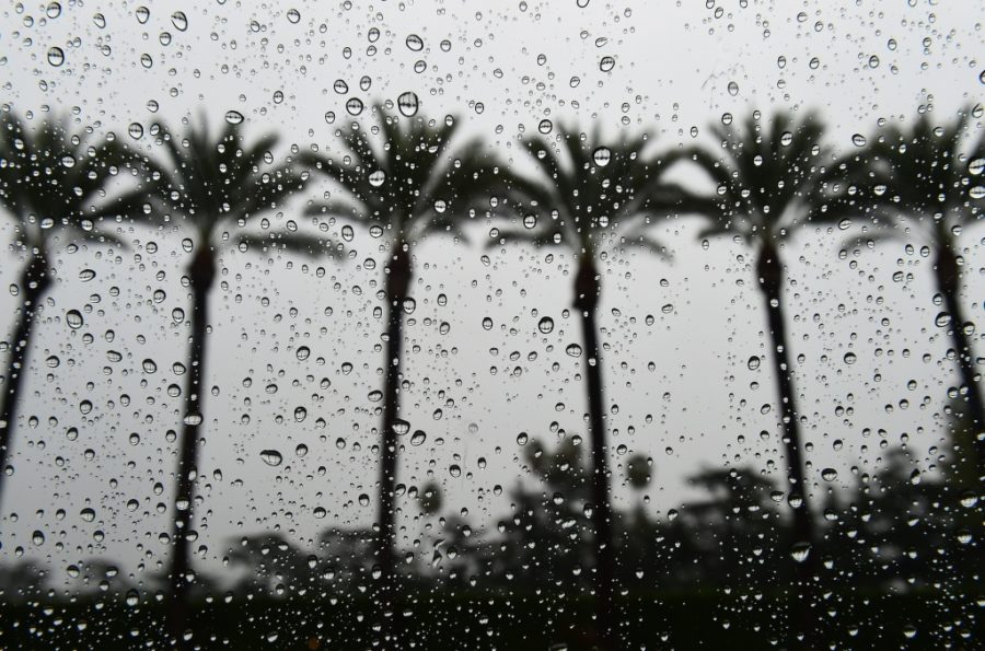Constant California Rain