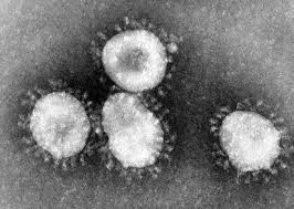 The Spreading Coronavirus