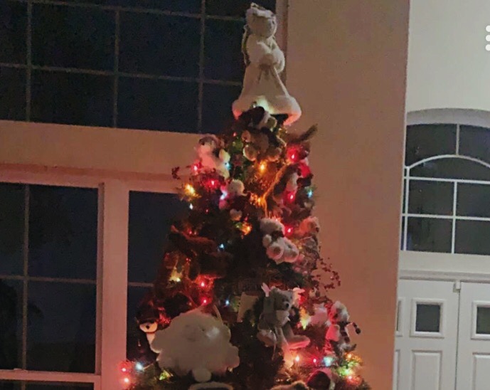 Unique Family Christmas Trees