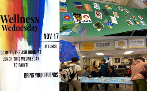 Photo Courtesy : Summer Perry Collage Edited through Picsart ASB Poster and Pictures From “Wellness Wednesday”