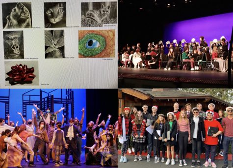 Top left-  Photos courtesy of Vicky Schwarz

Top right and bottom right - Photo courtesy cdmvocalmusic.com

Bottom left- Photo courtesy CDMHS THEATER on Instagram 