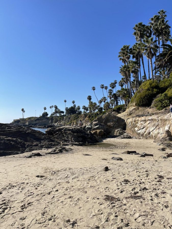 Britta Wolker 23 spent her break climbing tide-pools in Laguna Beach