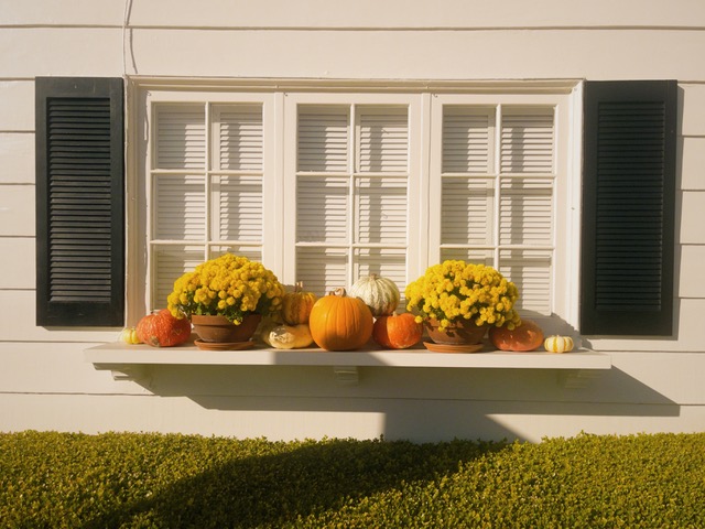 Photo courtesy of Paola Berzonetti via her phone