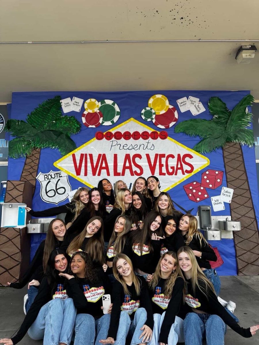 Photo courtesy of CdM Orchesis